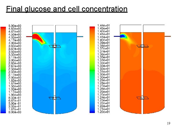 Final glucose and cell concentration 19 