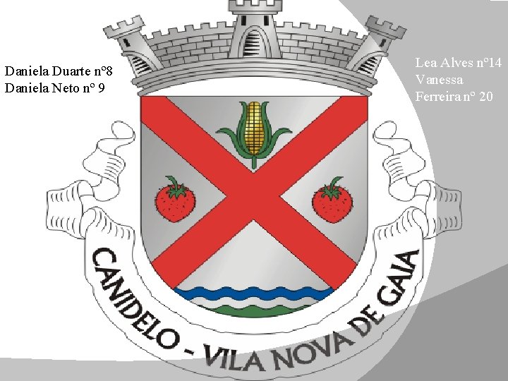 Daniela Duarte nº 8 Daniela Neto nº 9 Lea Alves nº 14 Vanessa Ferreira