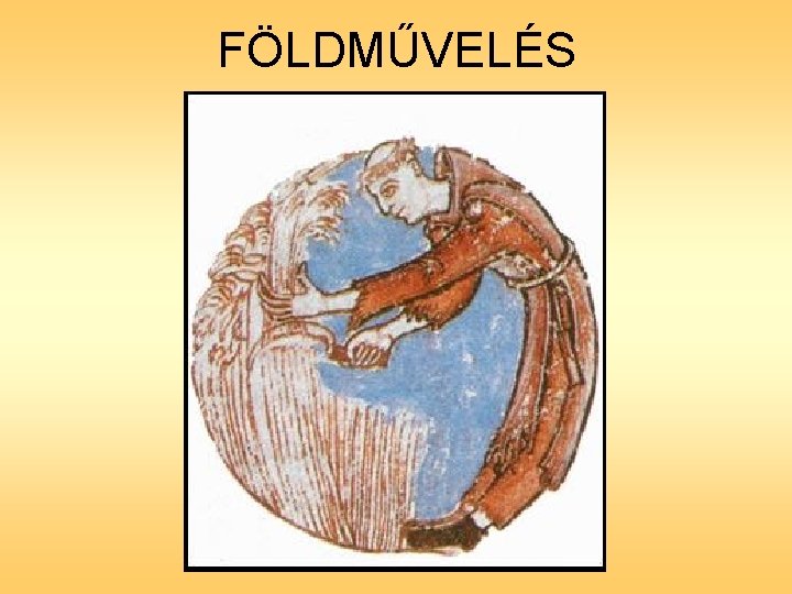 FÖLDMŰVELÉS 