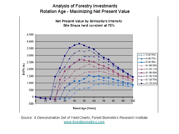 Analysis of Forestry Investments Rotation Age - Maximizing Net Present Value Source: A Demonstration