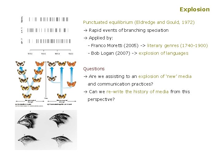 Explosion Punctuated equilibrium (Eldredge and Gould, 1972) à Rapid events of branching speciation à