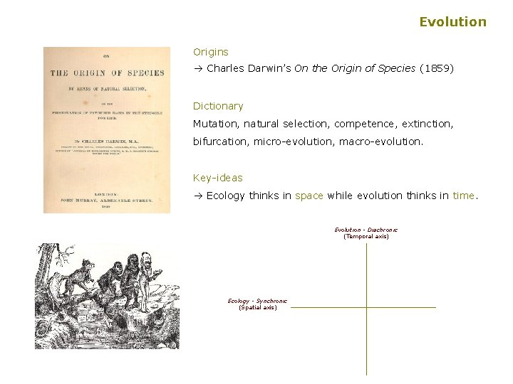 Evolution Origins à Charles Darwin’s On the Origin of Species (1859) Dictionary Mutation, natural