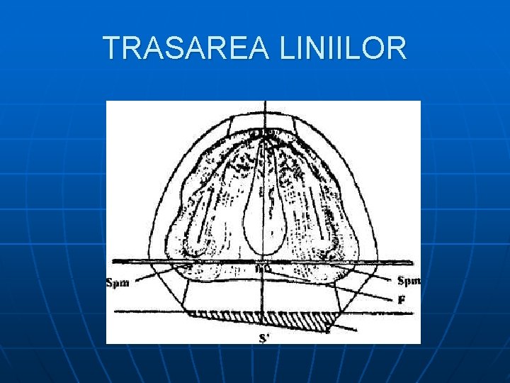 TRASAREA LINIILOR 