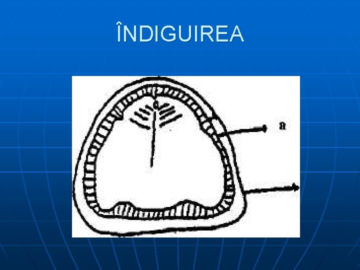 ÎNDIGUIREA 