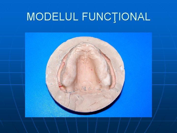 MODELUL FUNCŢIONAL 