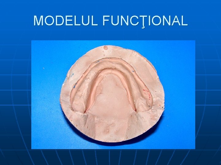 MODELUL FUNCŢIONAL 