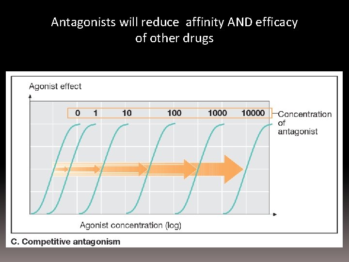 Antagonists will reduce affinity AND efficacy of other drugs 