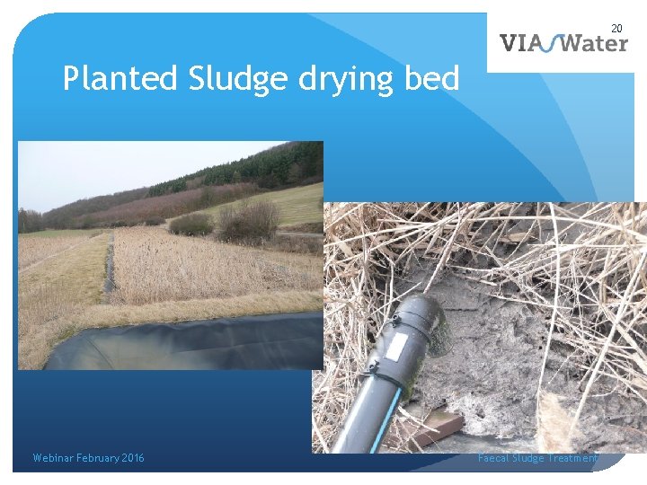 20 Planted Sludge drying bed Webinar February 2016 Faecal Sludge Treatment 