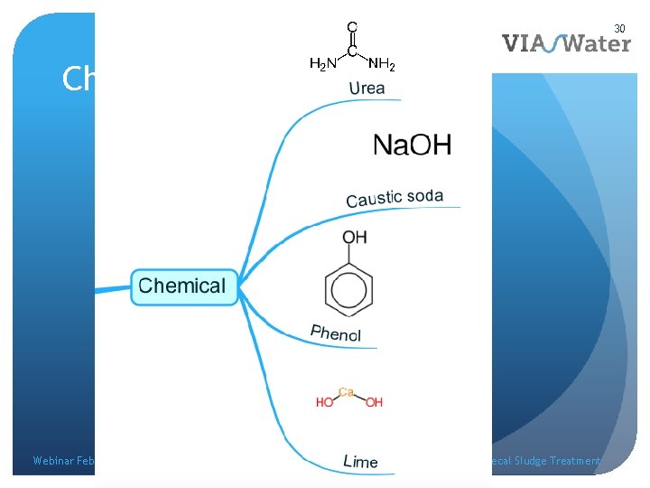 30 Chemical Webinar February 2016 Faecal Sludge Treatment 