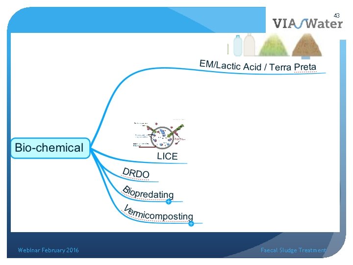43 Bio-chemical Webinar February 2016 Faecal Sludge Treatment 