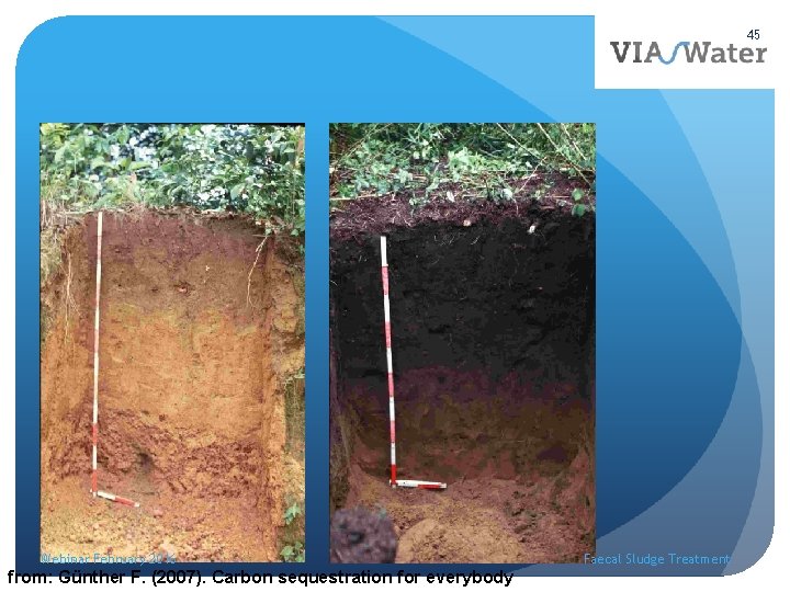 45 Webinar February 2016 from: Günther F. (2007). Carbon sequestration for everybody Faecal Sludge