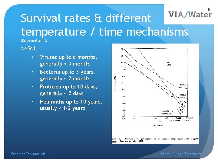 Survival rates & different temperature / time mechanisms (Kalbermatten) & Soil • Viruses up