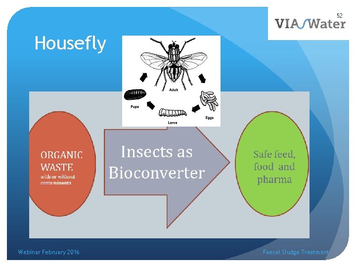52 Housefly Webinar February 2016 Faecal Sludge Treatment 