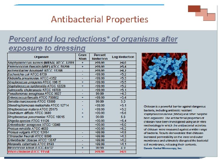53 Housefly Webinar February 2016 Faecal Sludge Treatment 