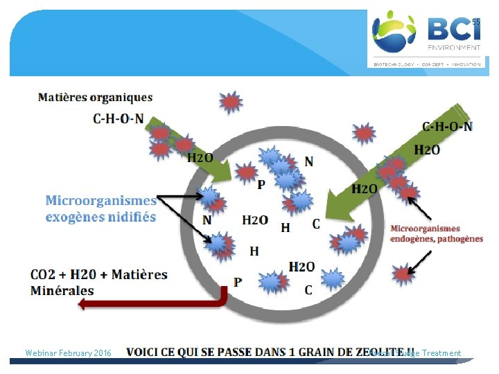 55 Webinar February 2016 Faecal Sludge Treatment 