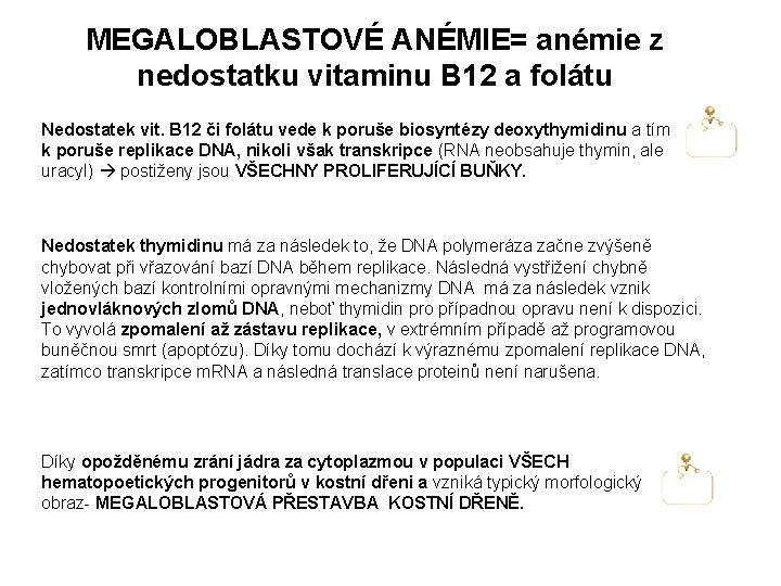 MEGALOBLASTOVÉ ANÉMIE= anémie z nedostatku vitaminu B 12 a folátu Nedostatek vit. B 12 MEGALOBLASTOVÉ ANÉMIE= anémie z nedostatku vitaminu B 12 a folátu Nedostatek vit. B 12