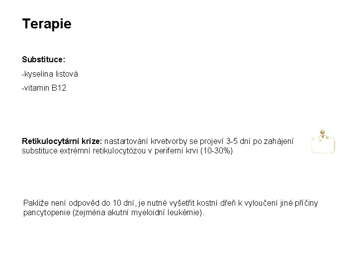 Terapie Substituce: -kyselina listová -vitamin B 12 Retikulocytární krize: nastartování krvetvorby se projeví 3