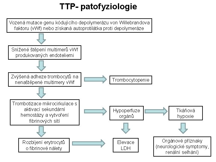 TTP- patofyziologie Vozená mutace genu kódujícího depolymerázu von Willebrandova faktoru (v. Wf) nebo získaná TTP- patofyziologie Vozená mutace genu kódujícího depolymerázu von Willebrandova faktoru (v. Wf) nebo získaná