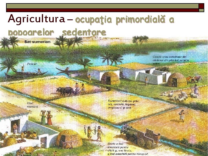 Agricultura – ocupaţia primordială a popoarelor sedentare 