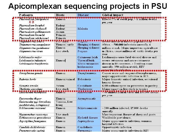 Apicomplexan Euk. pathogen sequencing projects in PSU X 3 