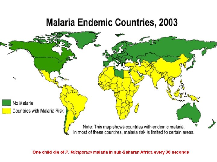 One child die of P. falciparum malaria in sub-Saharan Africa every 30 seconds 