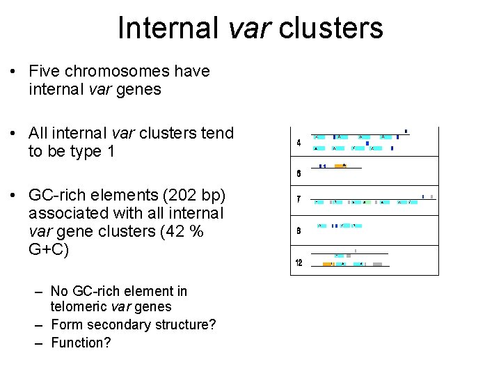 Internal var clusters • Five chromosomes have internal var genes • All internal var