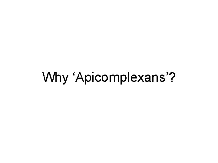 Why ‘Apicomplexans’? 