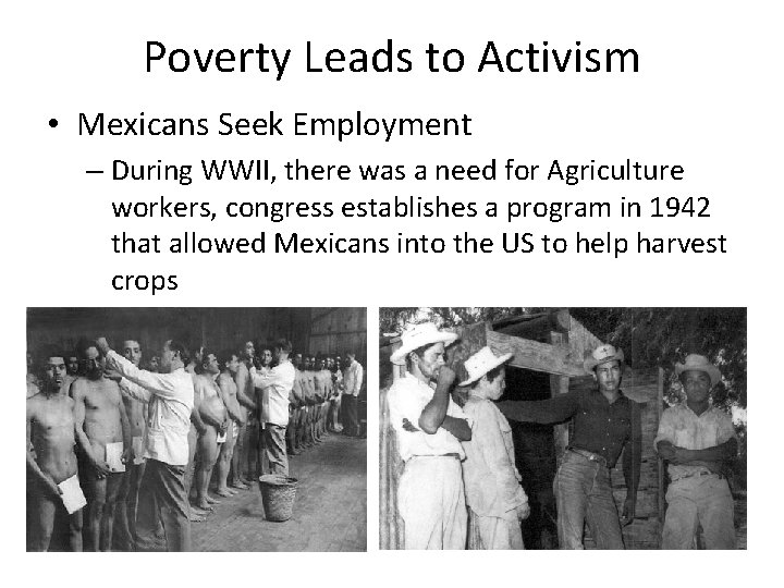 Poverty Leads to Activism • Mexicans Seek Employment – During WWII, there was a