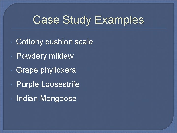Case Study Examples Cottony cushion scale Powdery mildew Grape phylloxera Purple Loosestrife Indian Mongoose