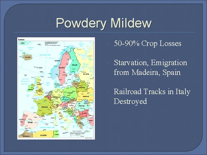 Powdery Mildew 50 -90% Crop Losses Starvation, Emigration from Madeira, Spain Railroad Tracks in