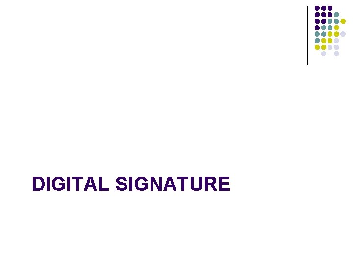 DIGITAL SIGNATURE 