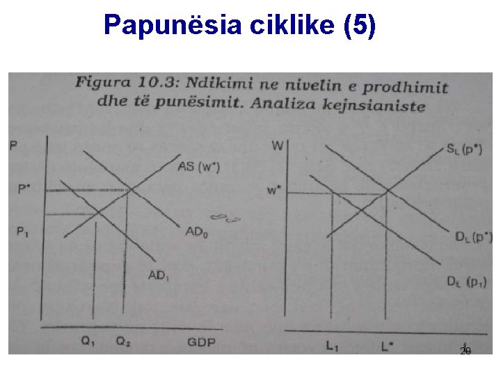 Papunësia ciklike (5) 20 