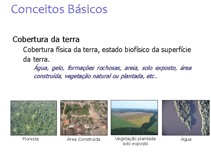 Conceitos Básicos Cobertura da terra Cobertura física da terra, estado biofísico da superfície da