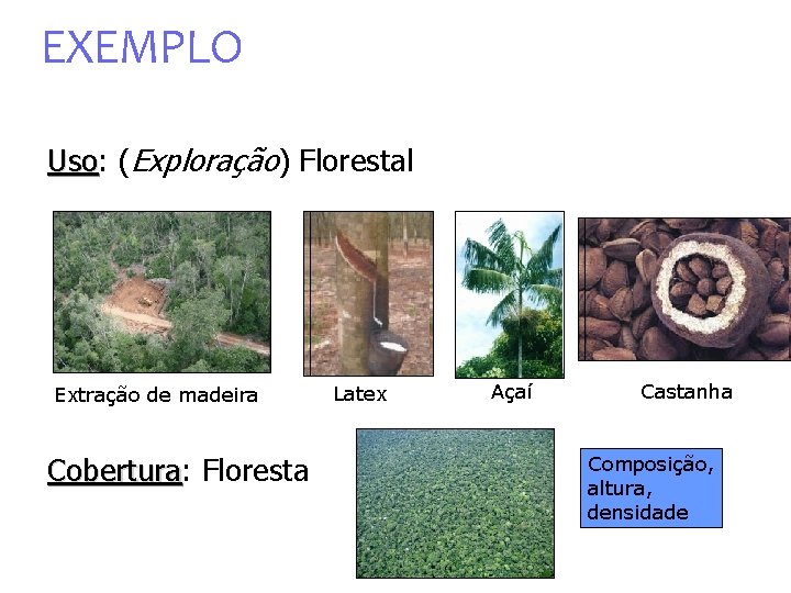 EXEMPLO Uso: Uso (Exploração) Florestal Extração de madeira Cobertura: Cobertura Floresta Latex Açaí Castanha