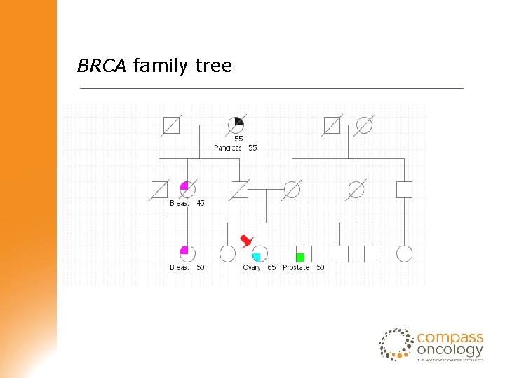 BRCA family tree 