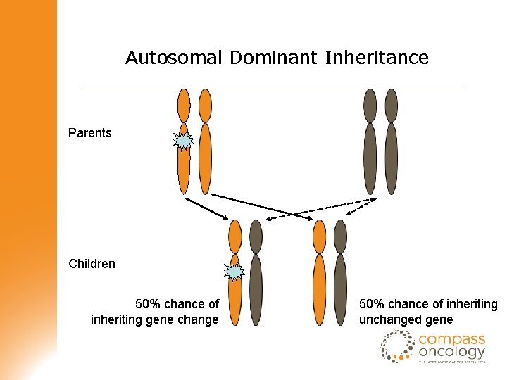Autosomal Dominant Inheritance Parents Children 50% chance of inheriting gene change 50% chance of