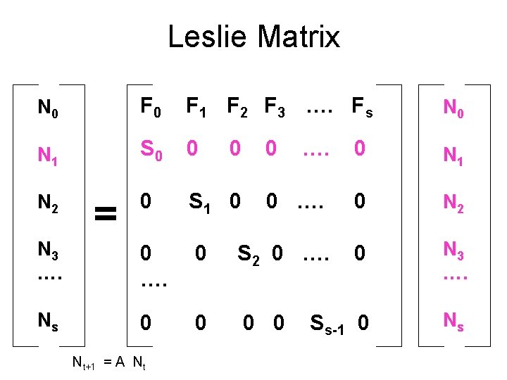 Leslie Matrix N 0 F 1 F 2 F 3 …. Fs N 0 Leslie Matrix N 0 F 1 F 2 F 3 …. Fs N 0