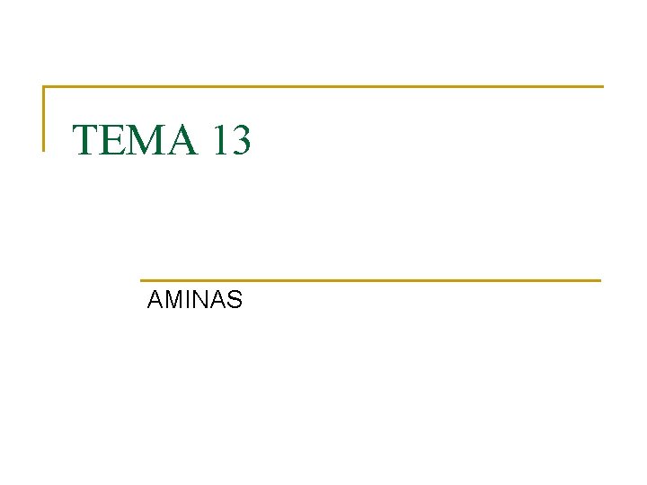 TEMA 13 AMINAS 