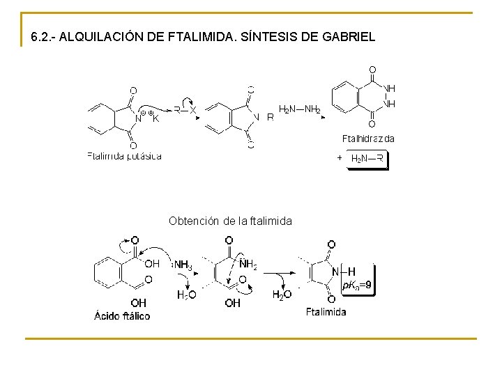 6. 2. - ALQUILACIÓN DE FTALIMIDA. SÍNTESIS DE GABRIEL Obtención de la ftalimida 