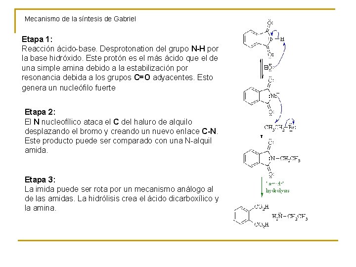 Mecanismo de la síntesis de Gabriel Etapa 1: Reacción ácido-base. Desprotonation del grupo N-H