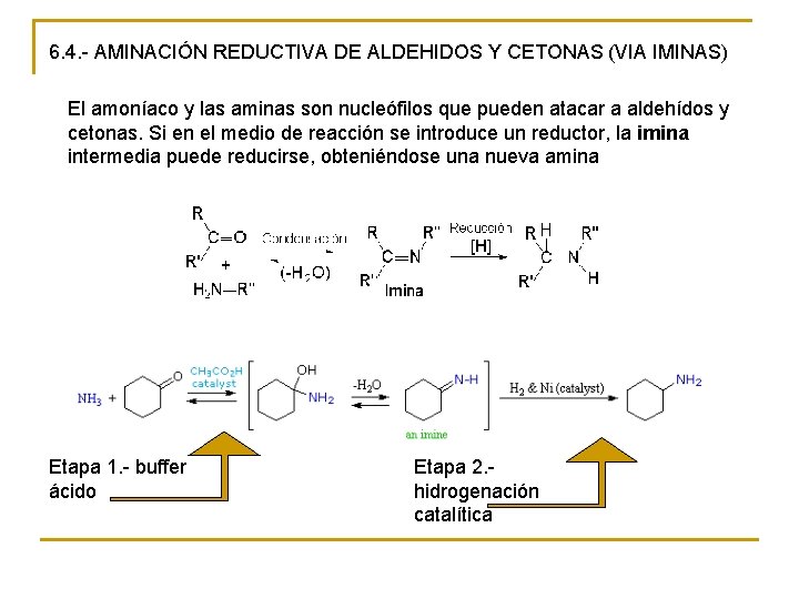 6. 4. - AMINACIÓN REDUCTIVA DE ALDEHIDOS Y CETONAS (VIA IMINAS) El amoníaco y
