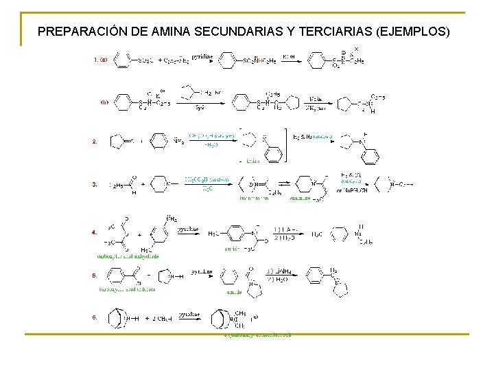 PREPARACIÓN DE AMINA SECUNDARIAS Y TERCIARIAS (EJEMPLOS) 