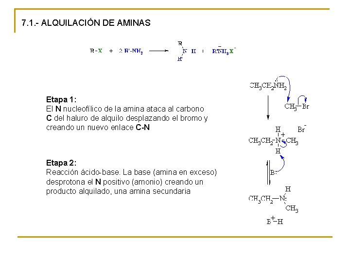 7. 1. - ALQUILACIÓN DE AMINAS Etapa 1: El N nucleofílico de la amina