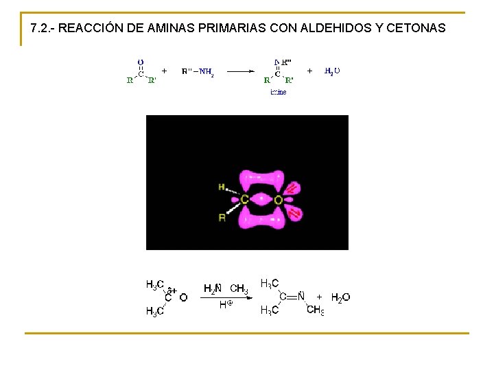 7. 2. - REACCIÓN DE AMINAS PRIMARIAS CON ALDEHIDOS Y CETONAS 