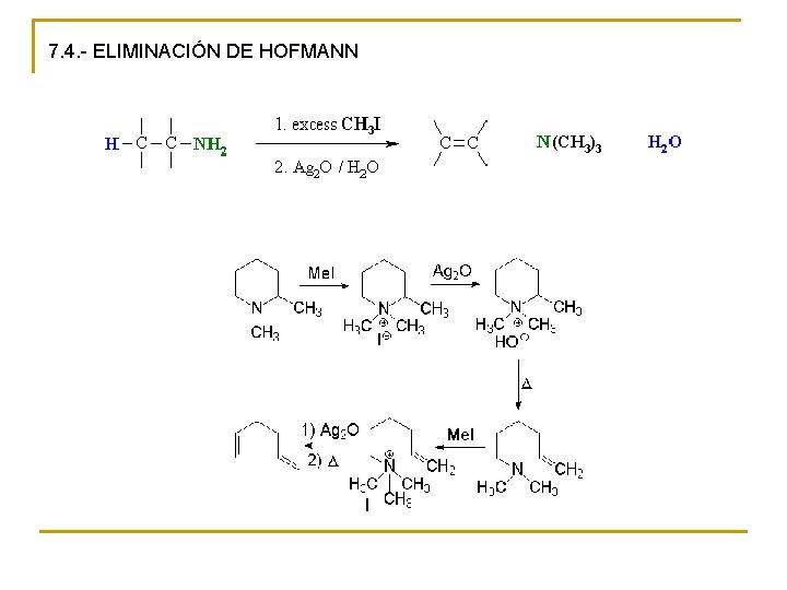 7. 4. - ELIMINACIÓN DE HOFMANN 