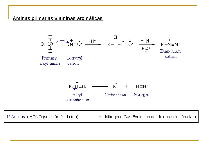 Aminas primarias y aminas aromáticas 1°-Aminas + HONO (solución ácida fría) Nitrogeno Gas Evolucion
