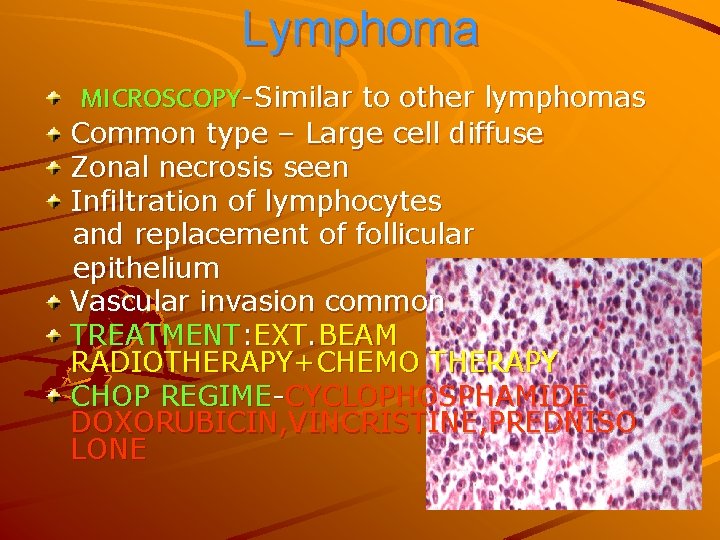 Lymphoma MICROSCOPY-Similar to other lymphomas Common type – Large cell diffuse Zonal necrosis seen