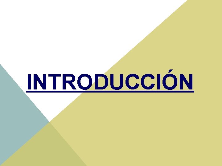 INTRODUCCIÓN 