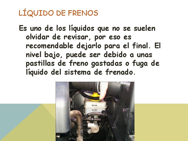 LÍQUIDO DE FRENOS Es uno de los líquidos que no se suelen olvidar de