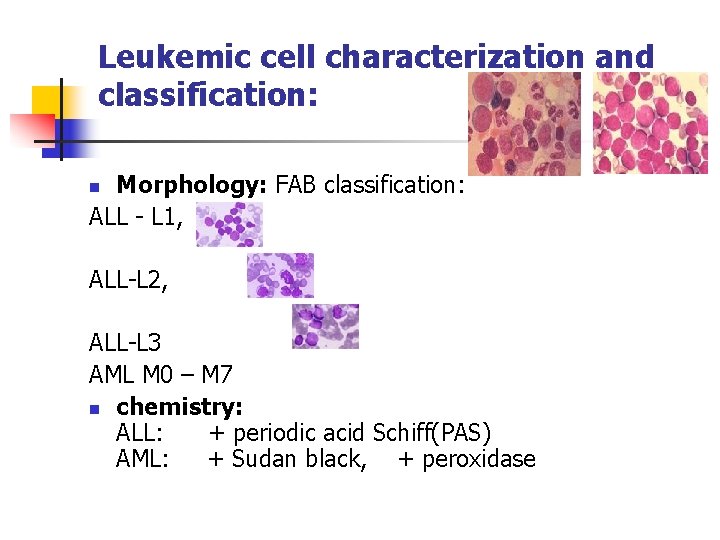 Leukemic cell characterization and classification: Morphology: FAB classification: ALL - L 1, n ALL-L